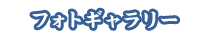 フォトギャラリー